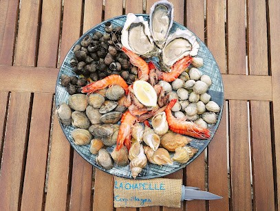 Web ComET Agency, Concepteur de Sites Web à Saint-Brieuc