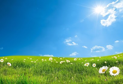 Elyazalée, Concepteur de Sites Web à Plérin