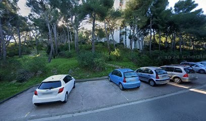 Poulpo Créations, Concepteur de Sites Web à Marseille 09