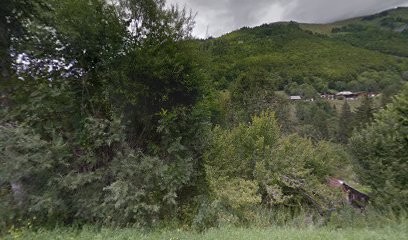 Lavanchy Michel, Concepteur de Sites Web à Montriond