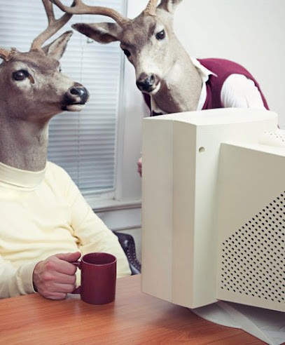 He-site Pas, Concepteur de Sites Web à Nancy