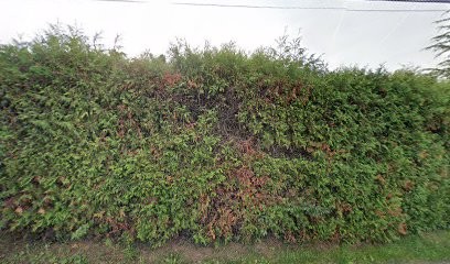 Flow Web Consulting, Concepteur de Sites Web à Marcellaz