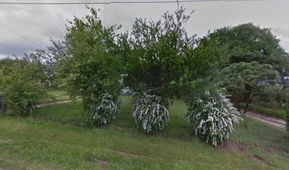 SOLUMEDIA, Concepteur de Sites Web à Plougonven