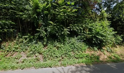 jdesign, Concepteur de Sites Web à Saïx