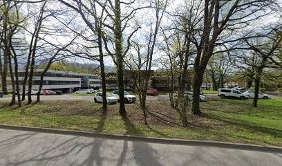 PETITE FÉE, Concepteur de Sites Web à Meylan