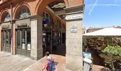 LUPO DESIGN, Concepteur de Sites Web à Toulouse