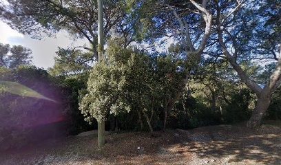 Remix Web Le Pradet, Concepteur de Sites Web au Pradet