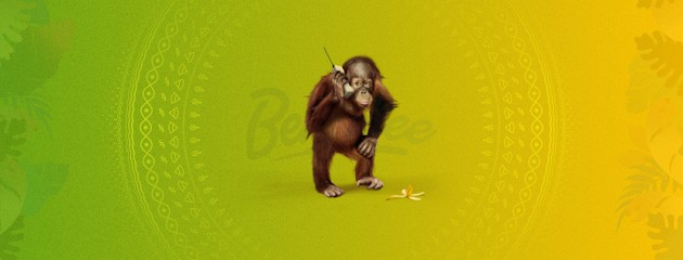 Bemobee (Agence Mobile First), Concepteur de Sites Web à Paris 19