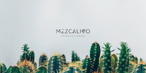 Mezcalito, Concepteur de Sites Web à Grenoble