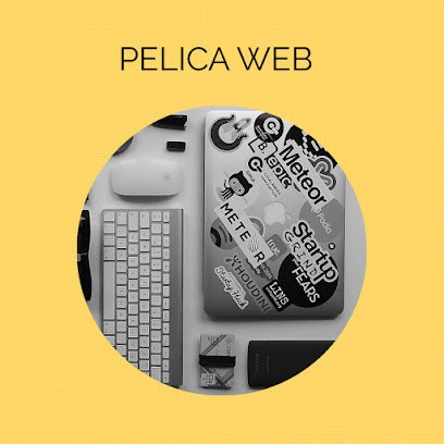 PELICA WEB - Pauline Desmares, développeur web, Concepteur de Sites Web à Briançon