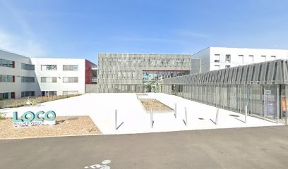 Agence Web Diwaves | Création Site Internet à La Roche Sur Yon, Concepteur de Sites Web à La Roche-sur-Yon