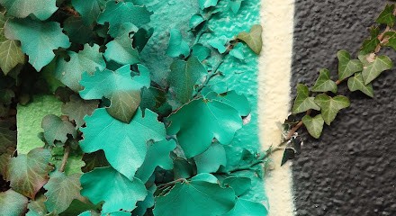 Ho Pongo!, Concepteur de Sites Web à Quimper