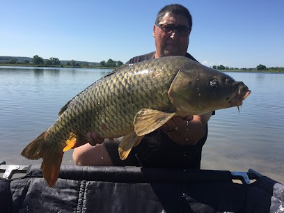 VIA CARPES, Concepteur de Sites Web à Saint-Jean-de-Trézy