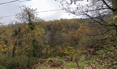 A.S Informatique, Concepteur de Sites Web à Tournon-sur-Rhône