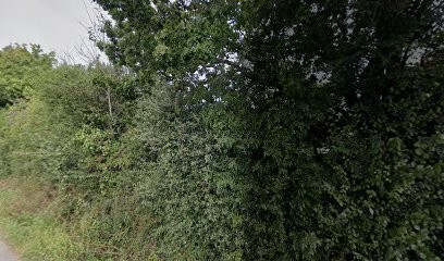 Litiboost, Concepteur de Sites Web à La Plaine-sur-Mer