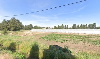 CapSudMedia - Création Sites Internet & E-commerces, Concepteur de Sites Web à Châteaurenard