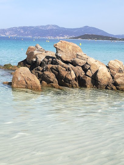 Smart-Technology agence Web, Concepteur de Sites Web à Pietrosella