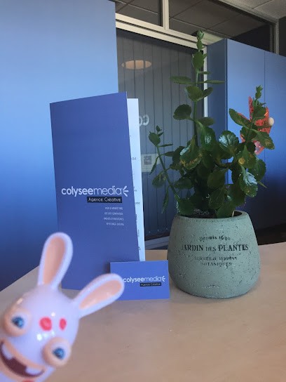 Colysée Média, Concepteur de Sites Web à Avignon