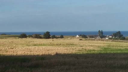 Jonas Millet, Concepteur de Sites Web à Saint-Brieuc