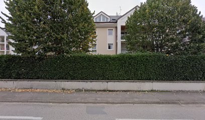 CDSIP, Concepteur de Sites Web à Ferney-Voltaire