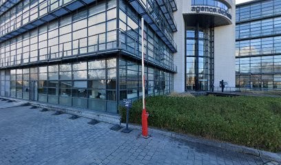 Chuzeville Webmaster, Concepteur de Sites Web à Lyon 07