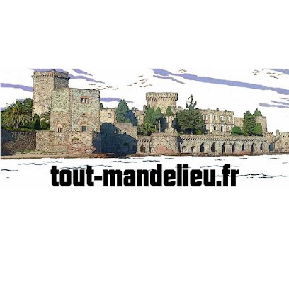 Tout Mandelieu, Concepteur de Sites Web à Mandelieu-la-Napoule