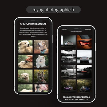 Alexis Pennel - Création De Site Internet Sur Mesure, Concepteur de Sites Web au Mesnil-Esnard