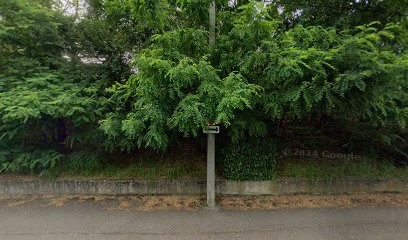 Youthdev, Concepteur de Sites Web à Saint-Genis-Laval