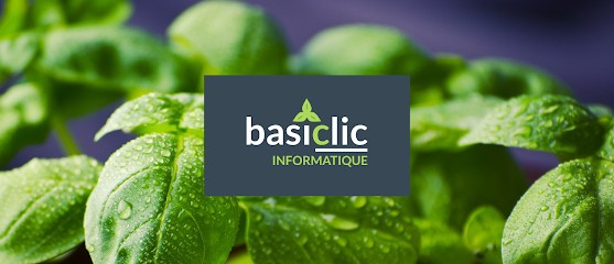 Basiclic Informatique, Concepteur de Sites Web à La Talaudière
