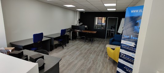 Agence Web Blue Frog, Concepteur de Sites Web à Vitrolles