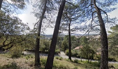 Asartmedia, Concepteur de Sites Web à Lorgues