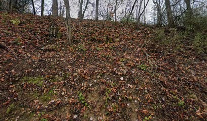 Narbey Technimedia, Concepteur de Sites Web à Nancy