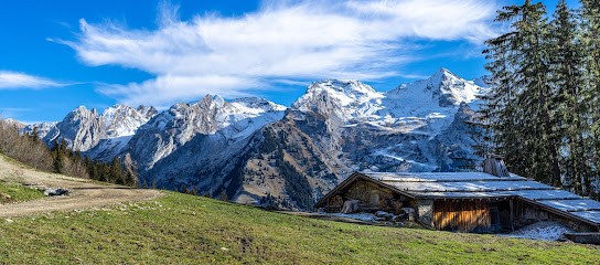 TLR Informatique, Concepteur de Sites Web à Saint-Jean-de-Sixt