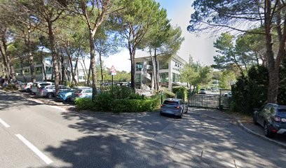 Digital Therapy, Concepteur de Sites Web à Mougins