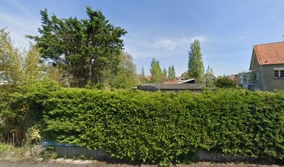 Alexis Moren, Concepteur de Sites Web à Cucq