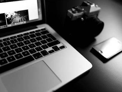 Agence Bonobo, Concepteur de Sites Web à Marseille 08