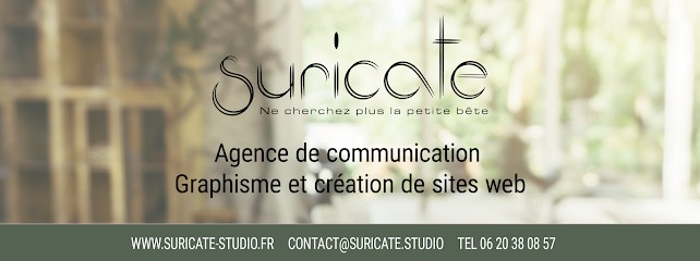 Suricate Studio Agence de communication, Concepteur de Sites Web à Pernois