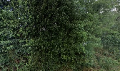 Freelance - Conseil et Création en communication Internet et Mobile, Concepteur de Sites Web à Cordemais