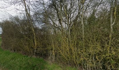 Isabelle PERIN -icréat-web, Concepteur de Sites Web à Pontgouin