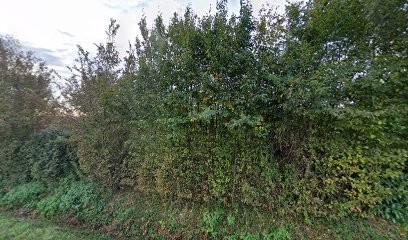 Viz'Web, Concepteur de Sites Web à Saint-Germain-du-Bois