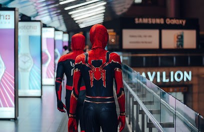 Spider Agency, Concepteur de Sites Web à Pessac