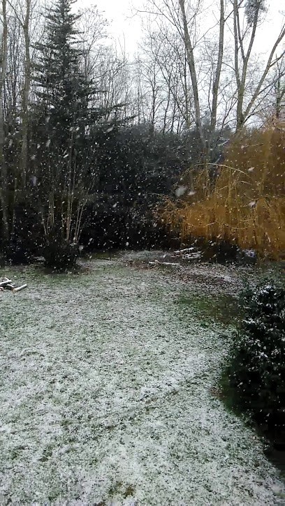 Devdor- Création De Site Web- Angers - OLIVIER RANTY - 49124, Concepteur de Sites Web à Saint-Barthélemy-d'Anjou