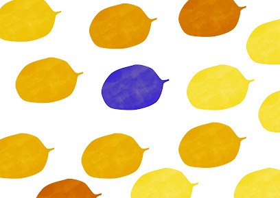 Simon Duclut, Concepteur de Sites Web à Marseille 05