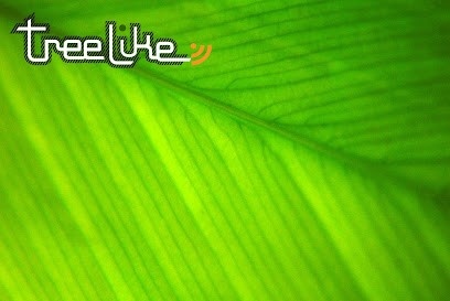 Agence Treelike, Concepteur de Sites Web à Perpignan