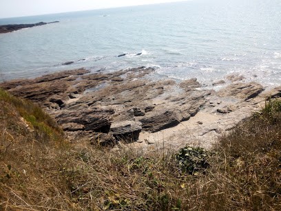 Corbin Geoffroy Stanislas Xavier, Concepteur de Sites Web à Saint-Gildas-de-Rhuys