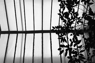 Mk Multimédia, Concepteur de Sites Web à Paris 15