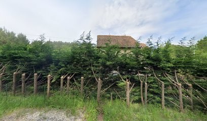 Dracko, Concepteur de Sites Web à Saint-André-de-Cubzac