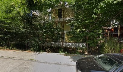 Création De Site Web à Lille : La Machine à Site, Concepteur de Sites Web à Lille