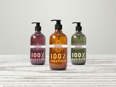 Graphiste & webdesigner freelance CAPOLINA, Concepteur de Sites Web à Valsonne