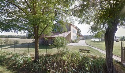 Tigris Studios, Concepteur de Sites Web au Garric